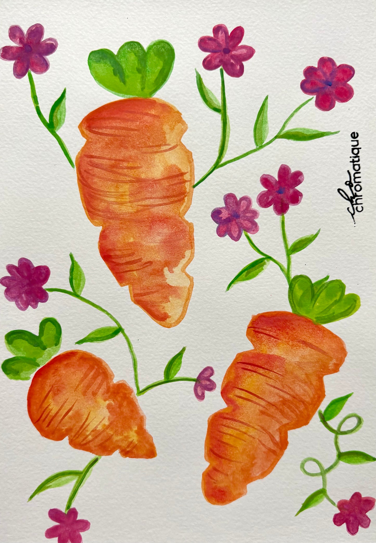 Carottes