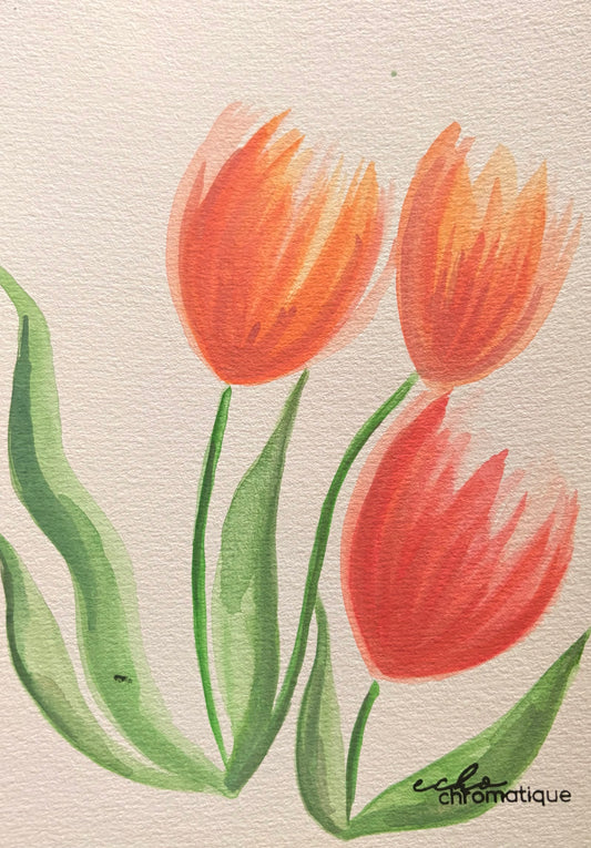 Tulipes