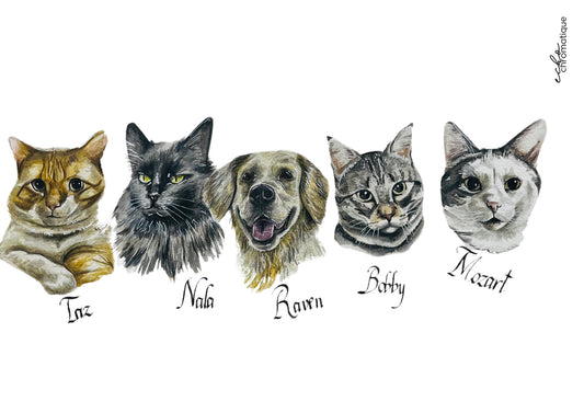 Family pet