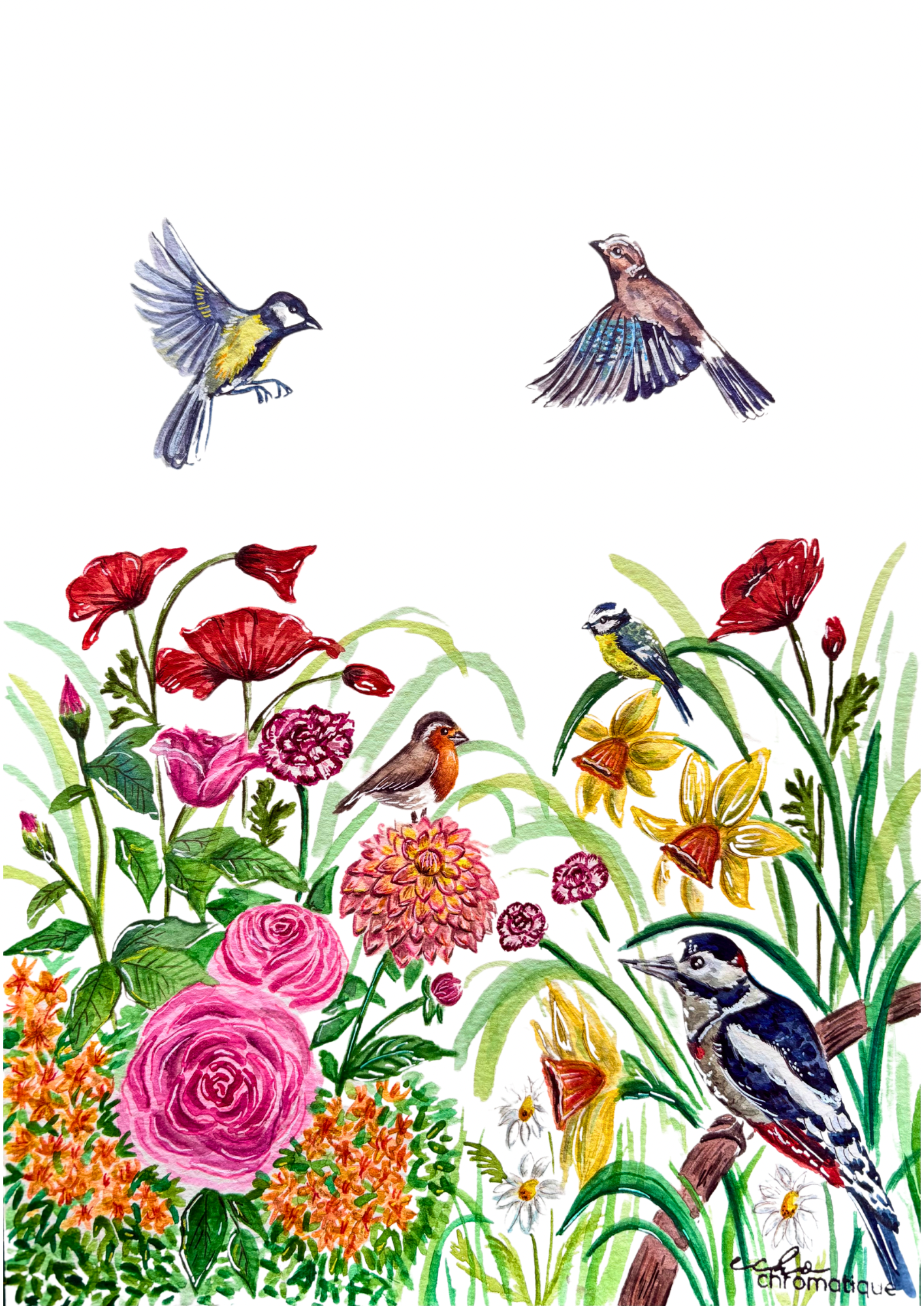 Jardin fleuri