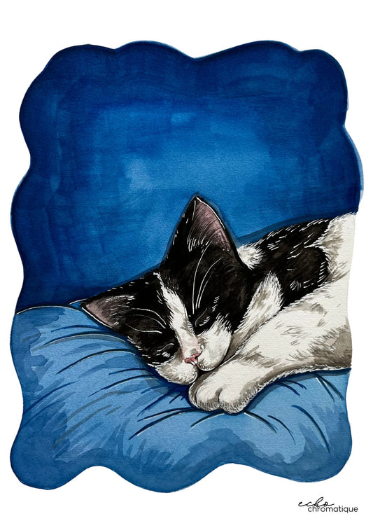 Une petite sieste ?